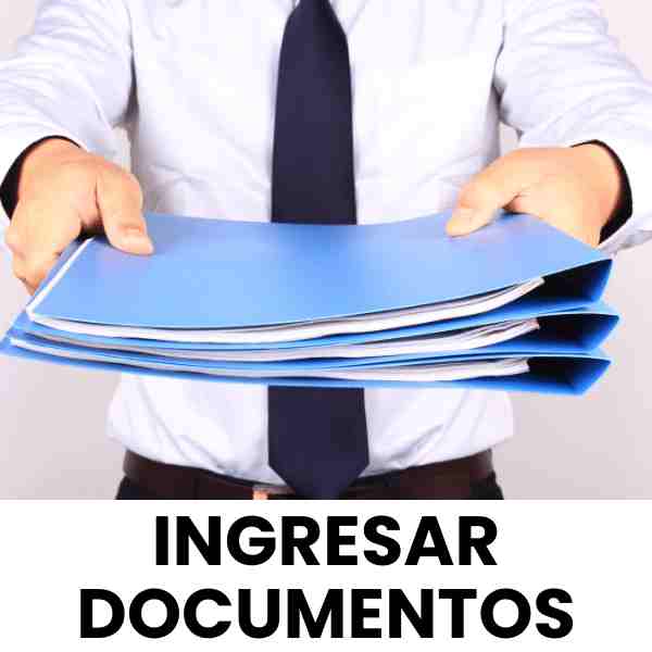 INGRESAR DOCUMENTOS