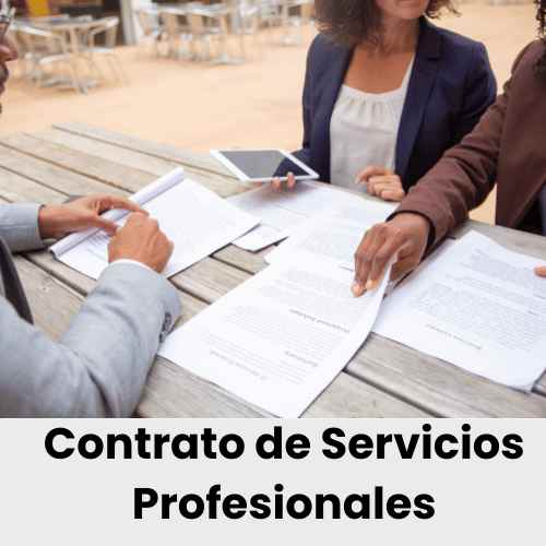 contrato de servicios profesionales